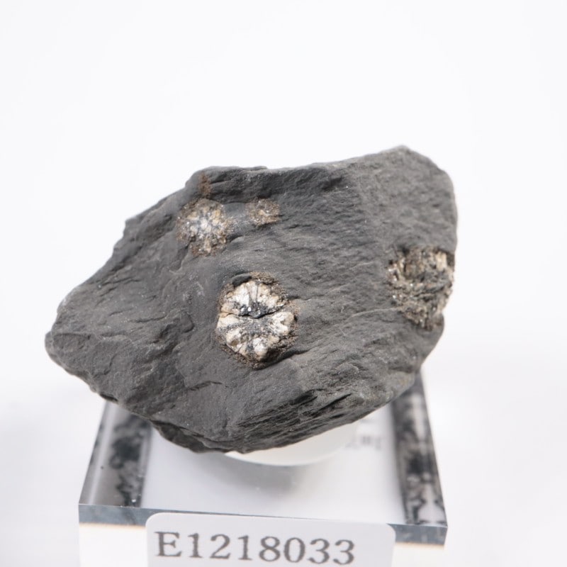 群馬県産 桜石 | 鉱物標本,その他の鉱物 | ほたるみねらる