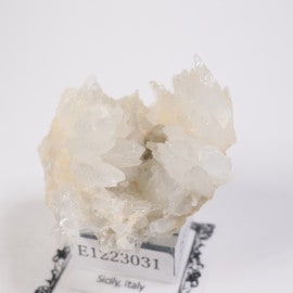 �����ꥢ�� ���쥹�ƥ���