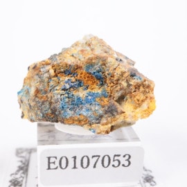 ¿�Ĺۻ����ı��ۡʥ�ʥ饤�ȡ�