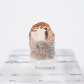 �楿�������ȥѡ���