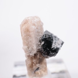 Solar Wind�ۻ����ȥѡ������ӥ����ӥ�����