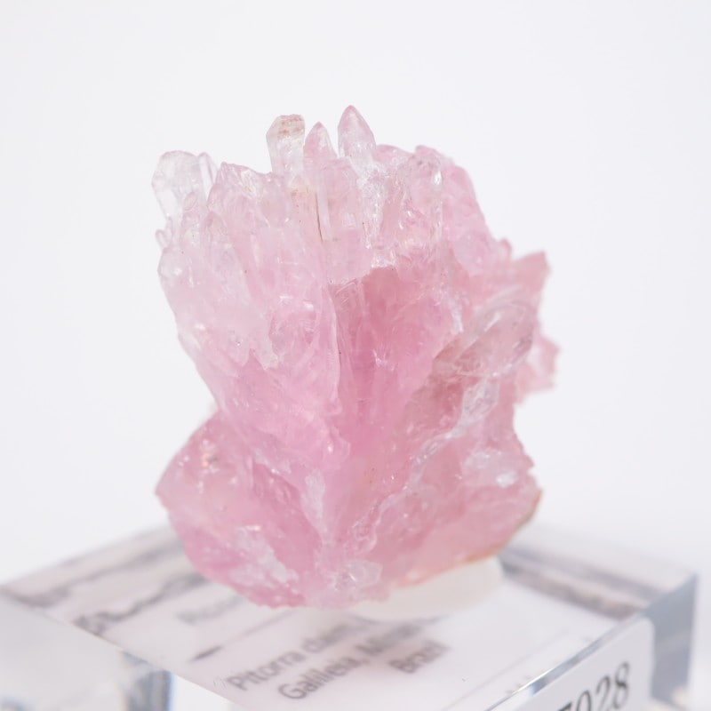 ローズクォーツ 水晶 結晶 標本 ほたるみねらる ローズクォーツ 水晶 結晶 標本 ほたるみねらる ブラジル産