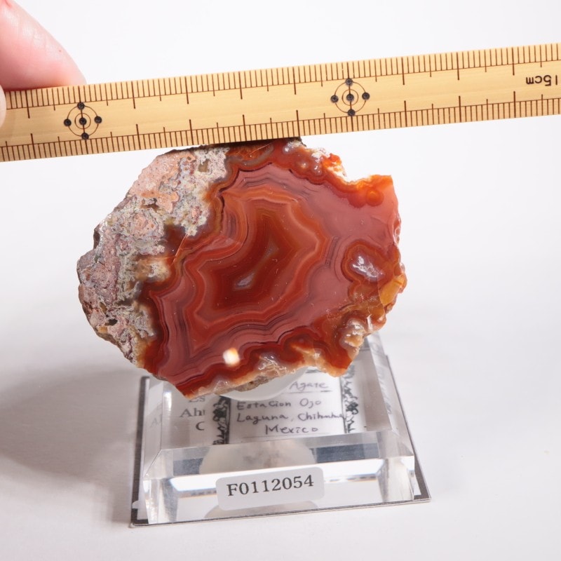 コレクターズアイテム】ラグーナアゲート コレクターズアイテム