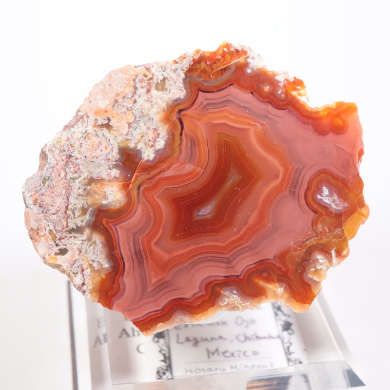 メキシコ産 ラグナアゲート | 鉱物標本,ア行,アゲート/瑪瑙 | ほたるみ