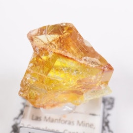 ���ڥ��� ���ե���饤��