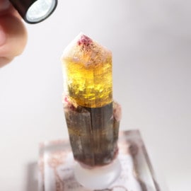 �������� �ȥ�ޥ��