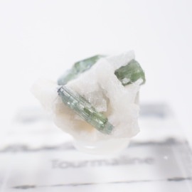 �֥饸�뻺 �ȥ�ޥ��