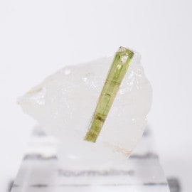 �֥饸�뻺 �ȥ�ޥ��