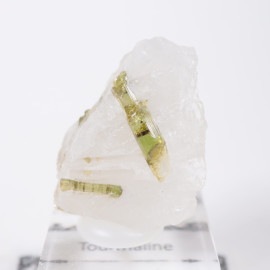 �֥饸�뻺 �ȥ�ޥ��