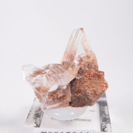 ジプサム/石膏」の取扱商品一覧 - ほたるみねらる