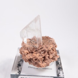 �ᥭ������ ����ʥ���