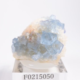 �˥塼�ᥭ�������� �ե����饤��