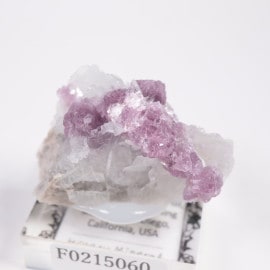 ピンクのレピドライト雲母が付いた、終端された水晶上のグリーントルマリンクラスター トップクォリティ]スターレピドライトルース（ティアドロップ