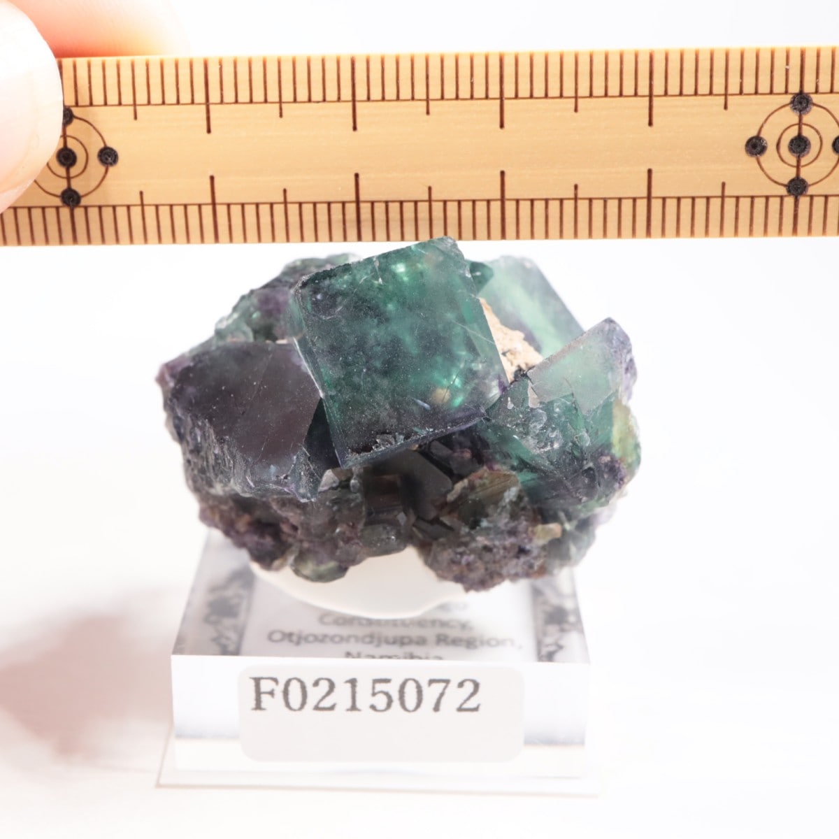 オコルス鉱山産 フローライト | 鉱物標本,ハ行,フローライト/蛍石