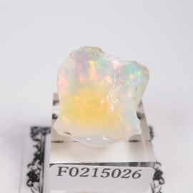 �������ԥ��� ���ѡ���