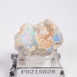 �������ԥ��� ���ѡ���