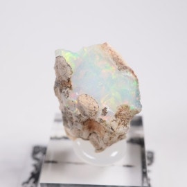 �������ԥ��� ���ѡ���