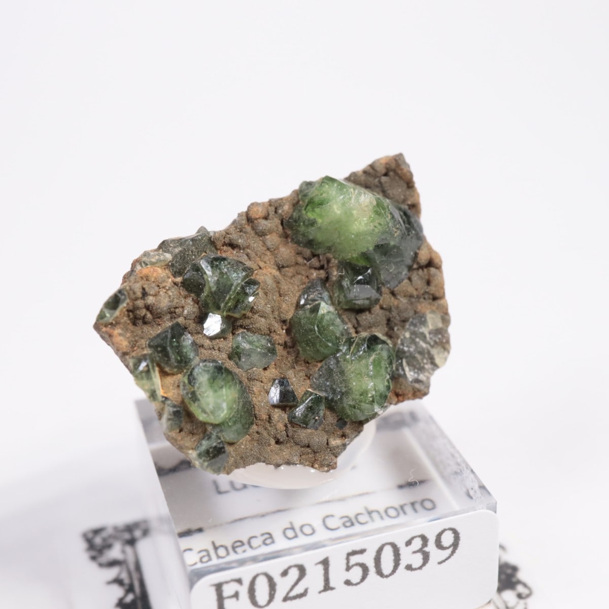 希少鉱物ラドラマイト　(Ludlamite) ラドラマイト【Ludlamite】アメリカ産 | PEANUTS MINERALS