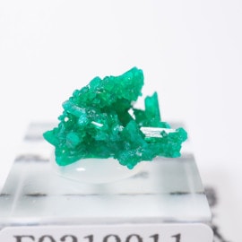 ���󥴻� �������ץơ���