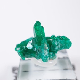 ���󥴻� �������ץơ���