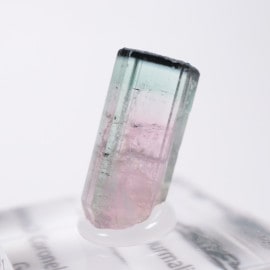 Coronel Murta�� �ȥ�ޥ��