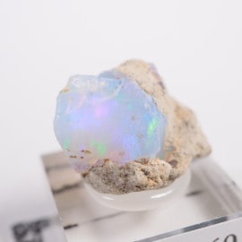 �������ԥ��� ���ѡ���