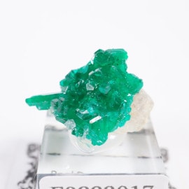 ���󥴻� �������ץơ���