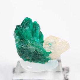 ���󥴻� �������ץơ���