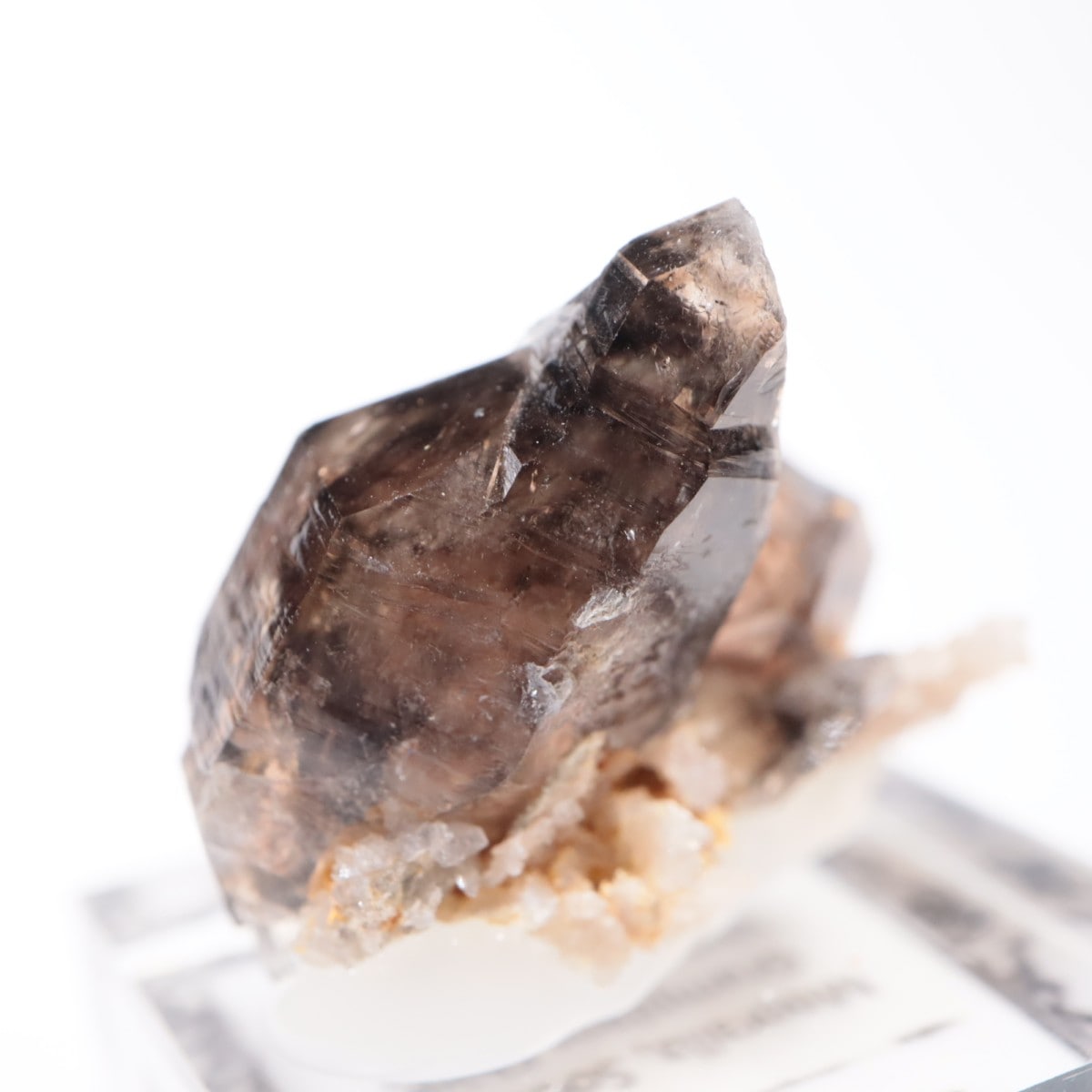 オーストラリア産 モララ水晶 | 鉱物標本,サ行,スモーキークォーツ/煙