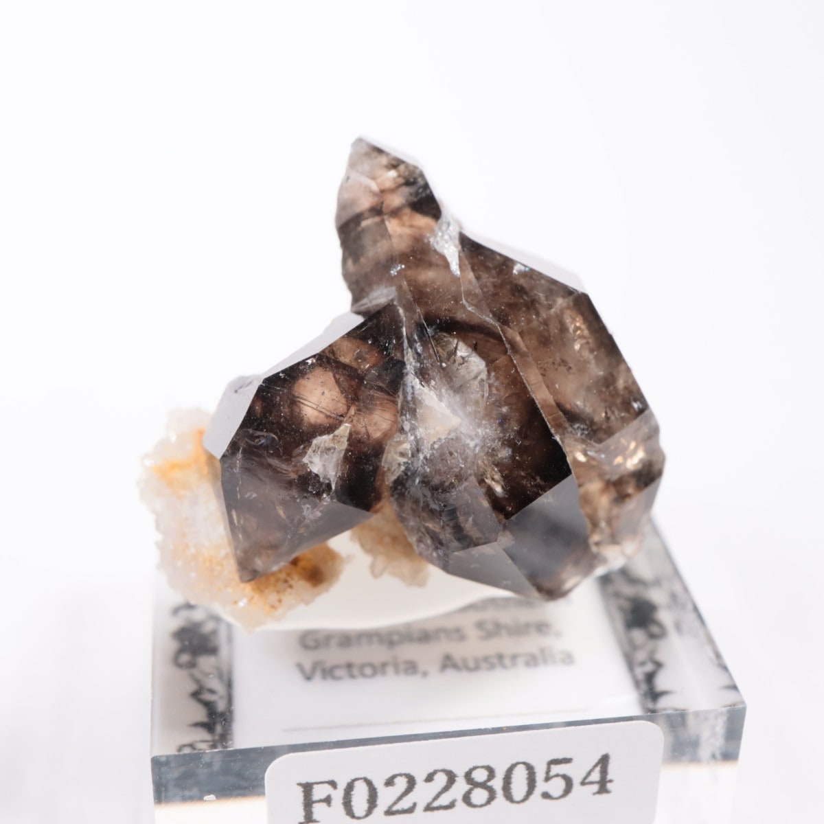 オーストラリア産 モララ水晶 | 鉱物標本,サ行,スモーキークォーツ/煙