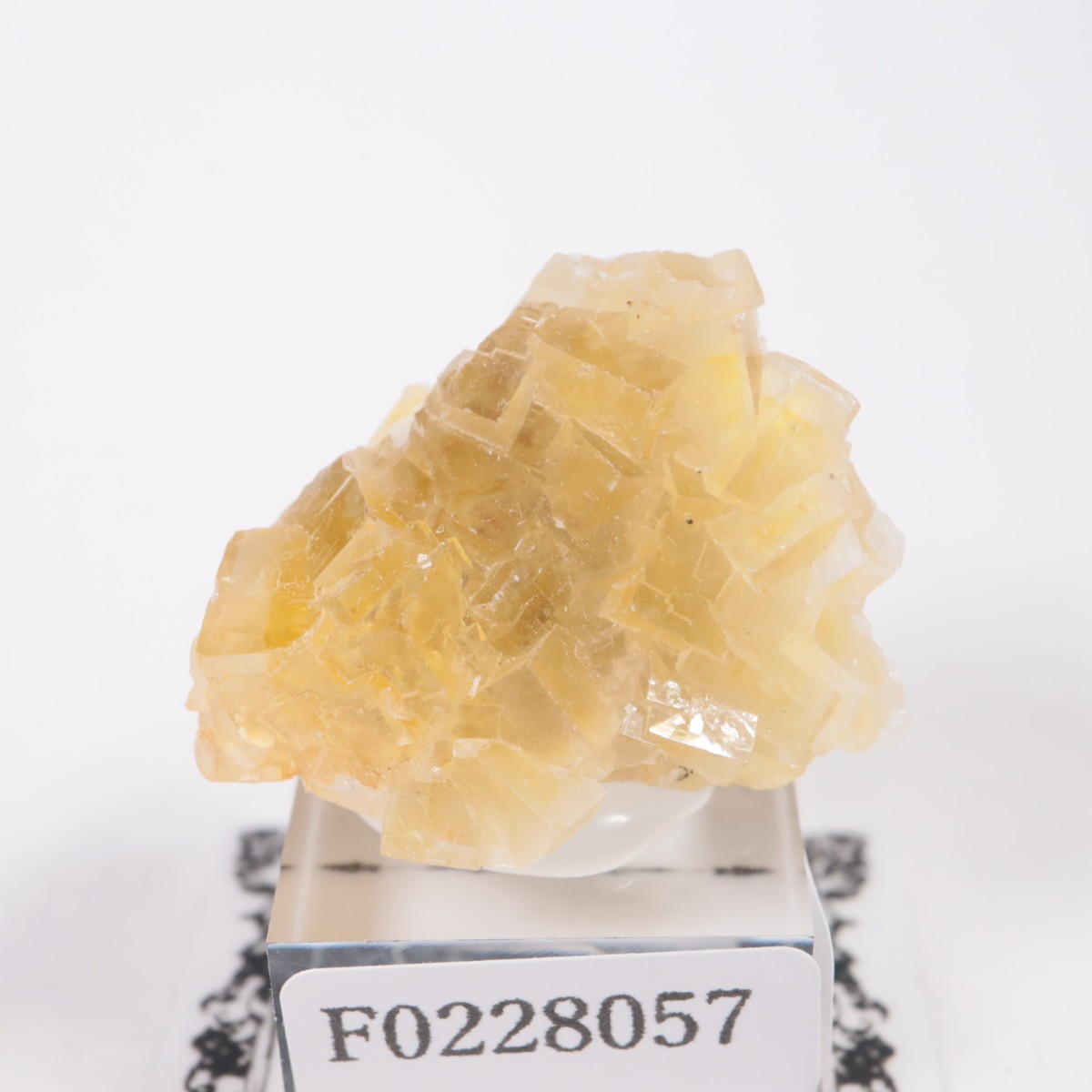 モスコナ鉱山 フローライト | 鉱物標本,ハ行,フローライト/蛍石