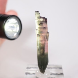 ����ե���˥��� �ȥ�ޥ��