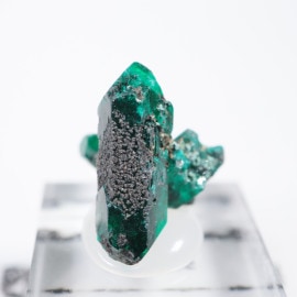 ���󥴻� �������ץơ���