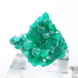 ���󥴻� �������ץơ���