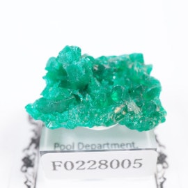 ���󥴻� �������ץơ���