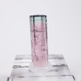 Coronel Murta�� �ȥ�ޥ��