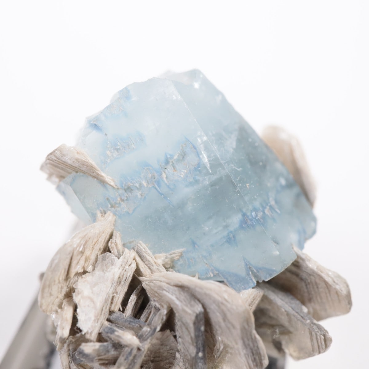 パキスタン産 アクアマリン | 鉱物標本,ハ行,ベリル/緑柱石 | ほたるみ