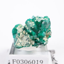 ���󥴻� �������ץơ���