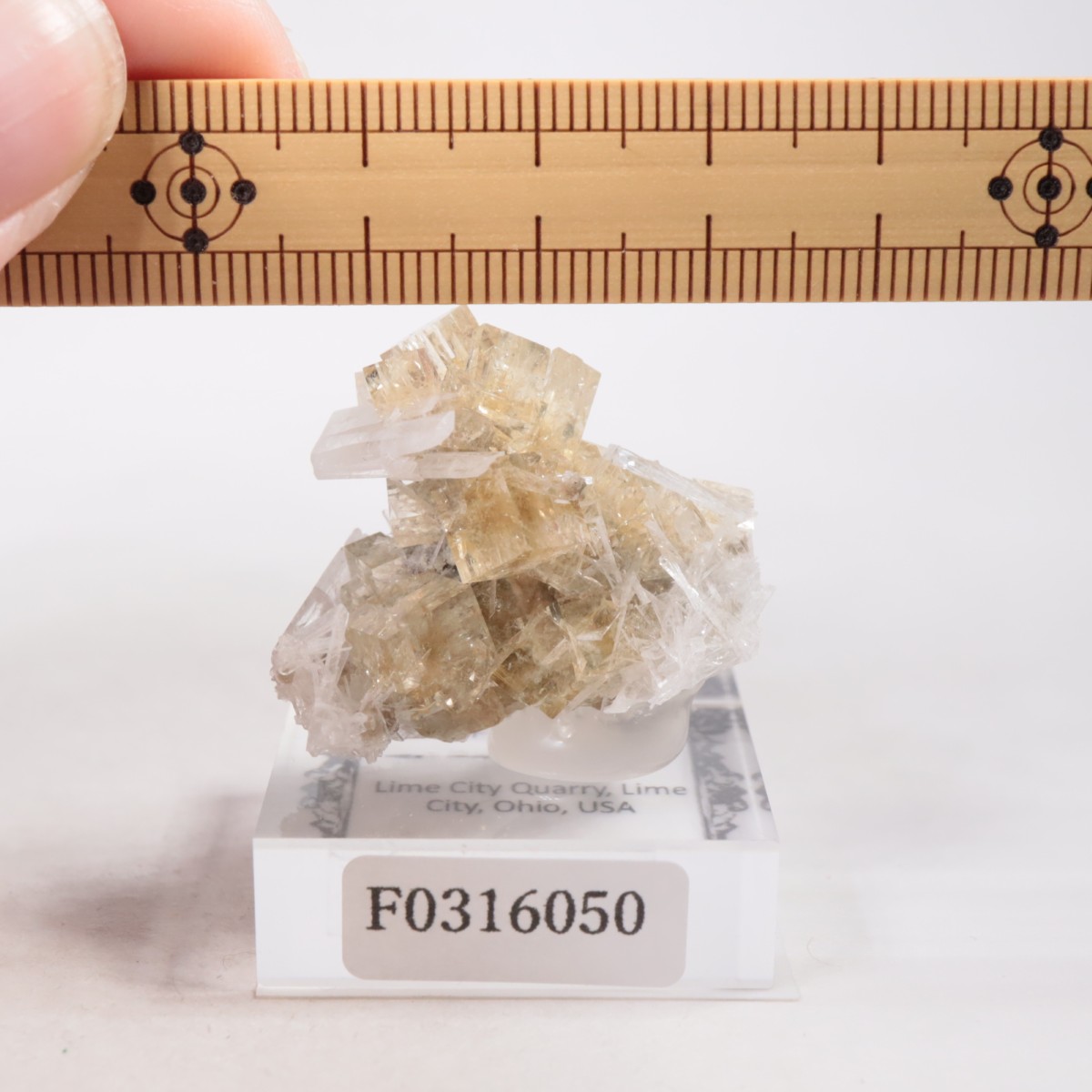 オハイオ州 フローライト | 鉱物標本,ハ行,フローライト/蛍石,フロー