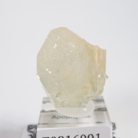 ����ɻ� ���ݥե��饤��