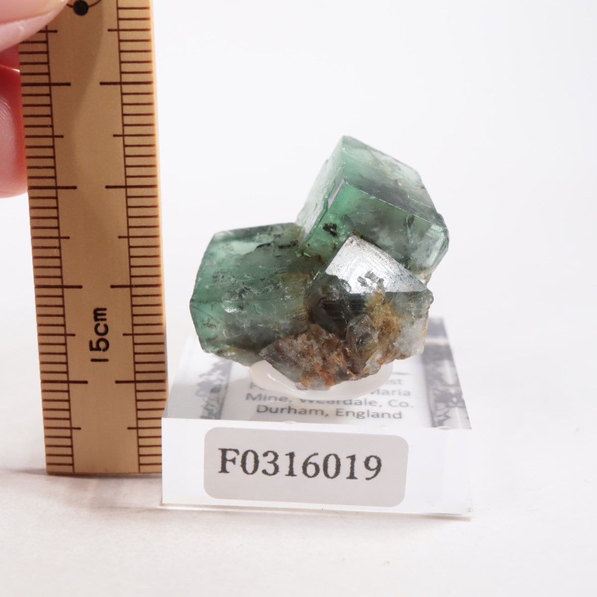 Diana Maria mine Hidden Forest Pocket 蛍石 Diana Maria mine Hidden Forest Pocket 蛍石（Fluorite – The