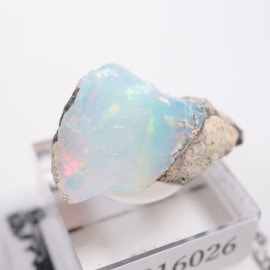 �������ԥ��� ���ѡ���