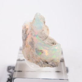 �������ԥ��� ���ѡ���