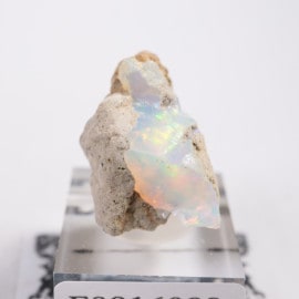 �������ԥ��� ���ѡ���