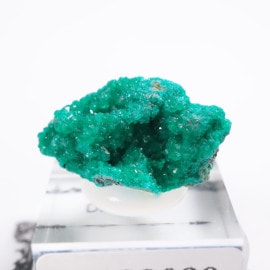 ���󥴻� �������ץơ���