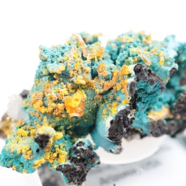 ���꥾�ʽ��������������ȡ�����ե��ʥ���