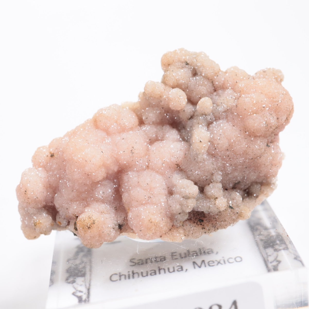 激レア超高品質！ ロードクロサイト×フローライト共生　鉱物標本　薔薇の花びら 激レア超高品質！ ロードクロサイト×フローライト共生 鉱物標本 薔薇の