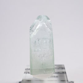 ����ɻ� ���ݥե��饤��