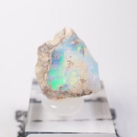 �������ԥ��� ���ѡ���