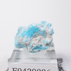 ���꡼�ԥ󥰥ӥ塼�ƥ����ۻ��� ����������